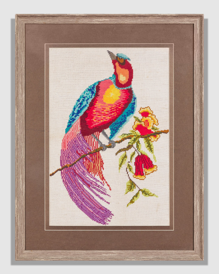Cross Stitch Macaw