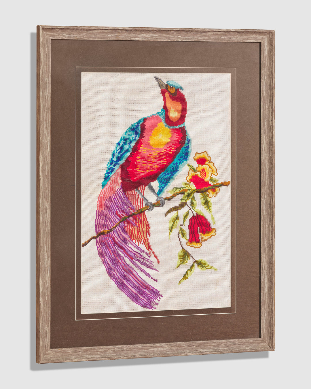 Cross Stitch Macaw