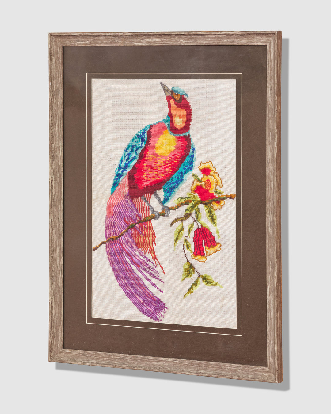 Cross Stitch Macaw