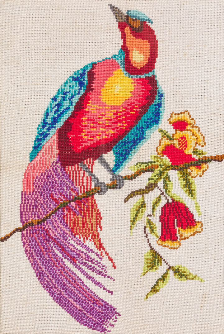 Cross Stitch Macaw