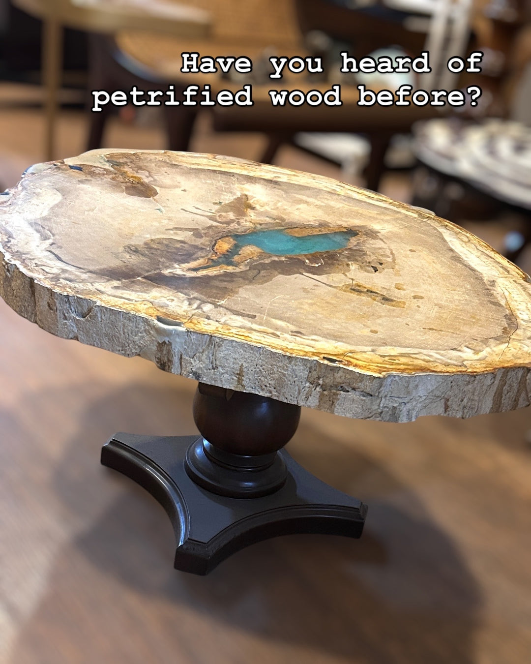 Petrified Wood Centre Table