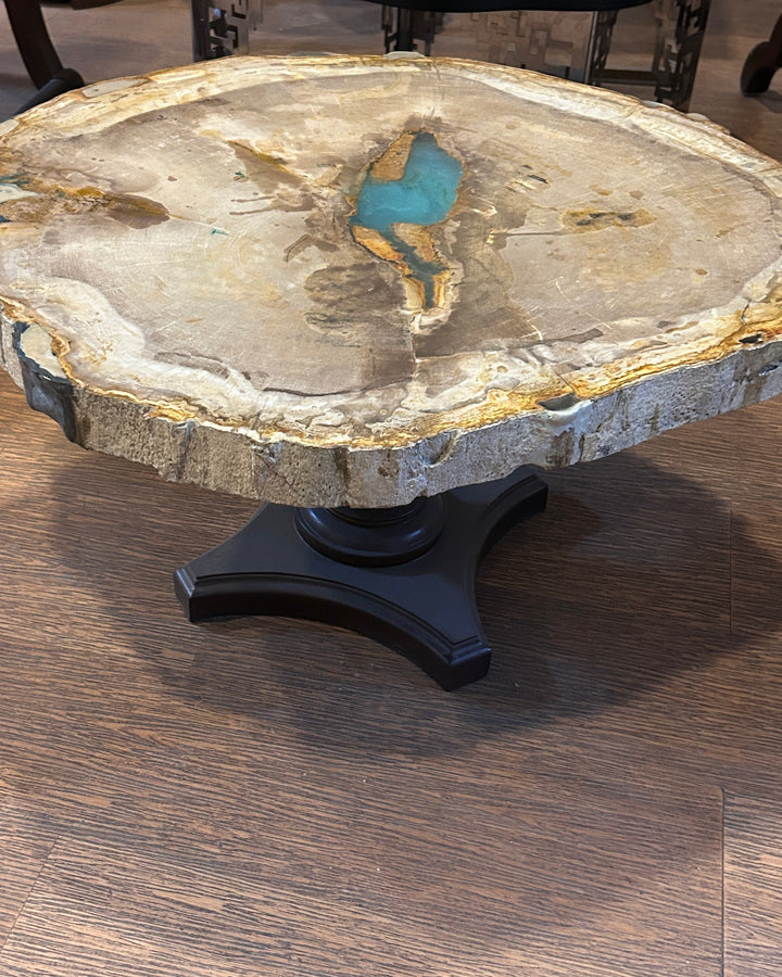 Petrified Wood Centre Table