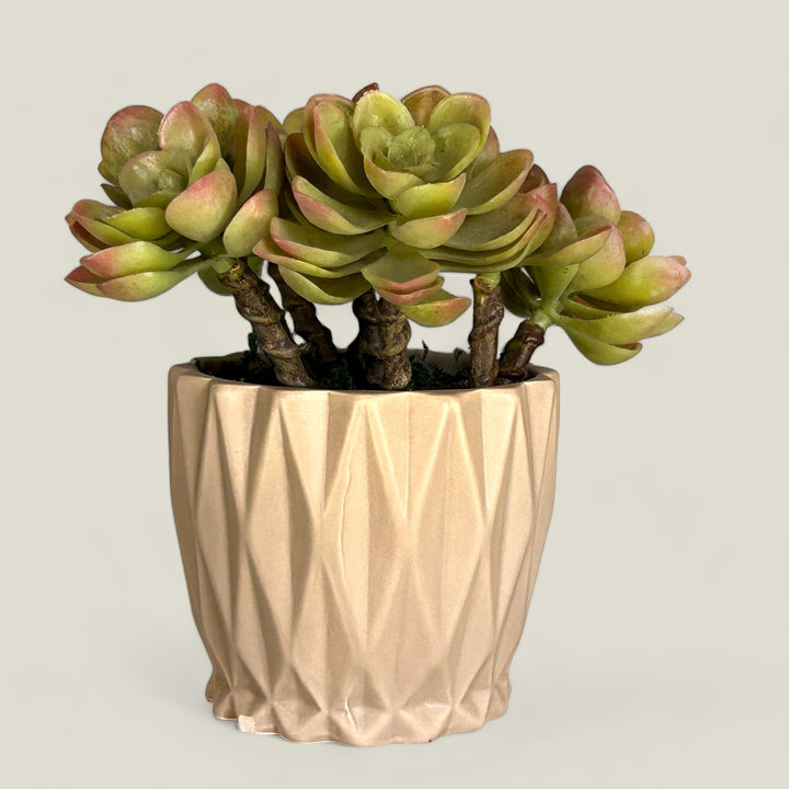 Beige Ceramic Pot / Planter Design 1