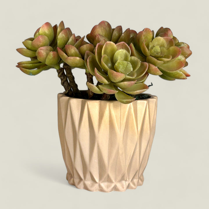 Beige Ceramic Pot / Planter Design 1