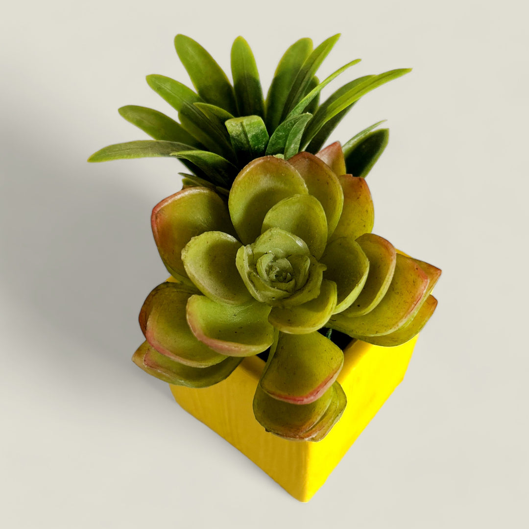 Small Planter 3