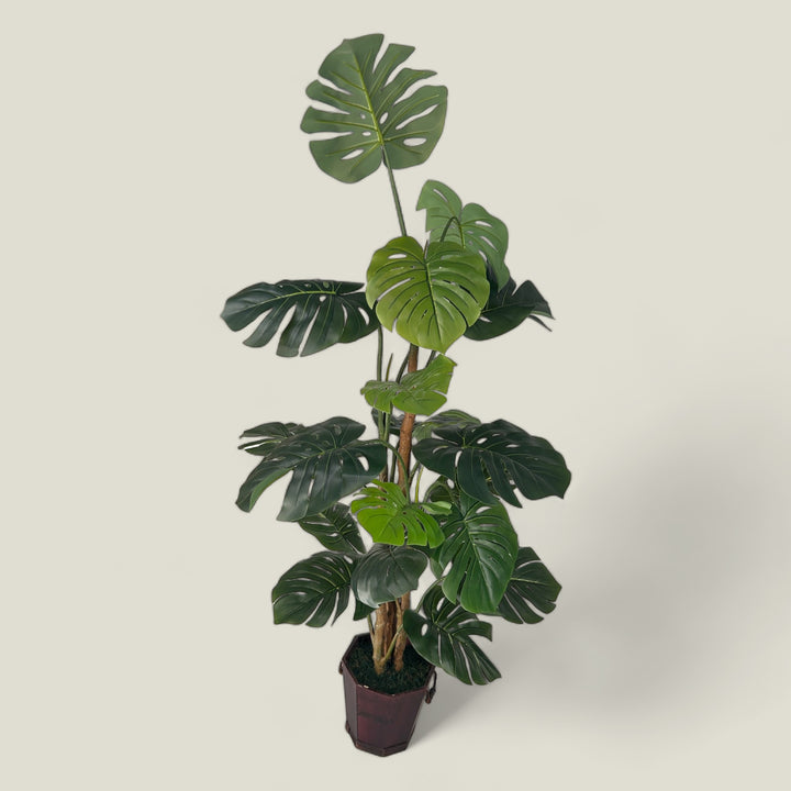 Monstera Rubber Touch Plant - 1