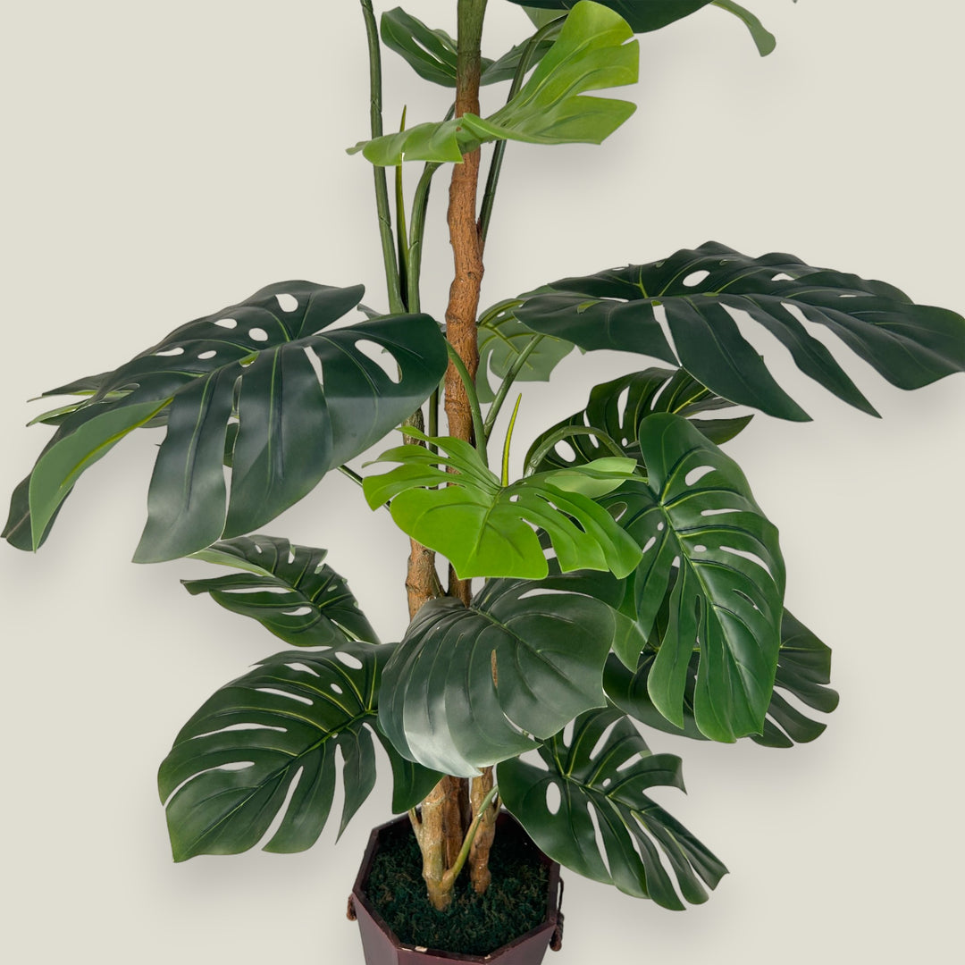 Monstera Rubber Touch Plant - 1