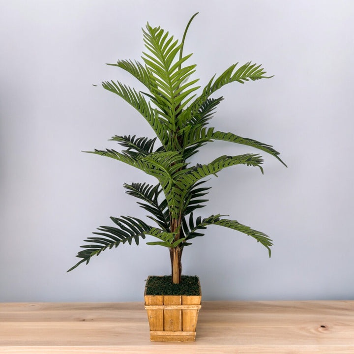 Premium Quality Areca Faux Plant Medium