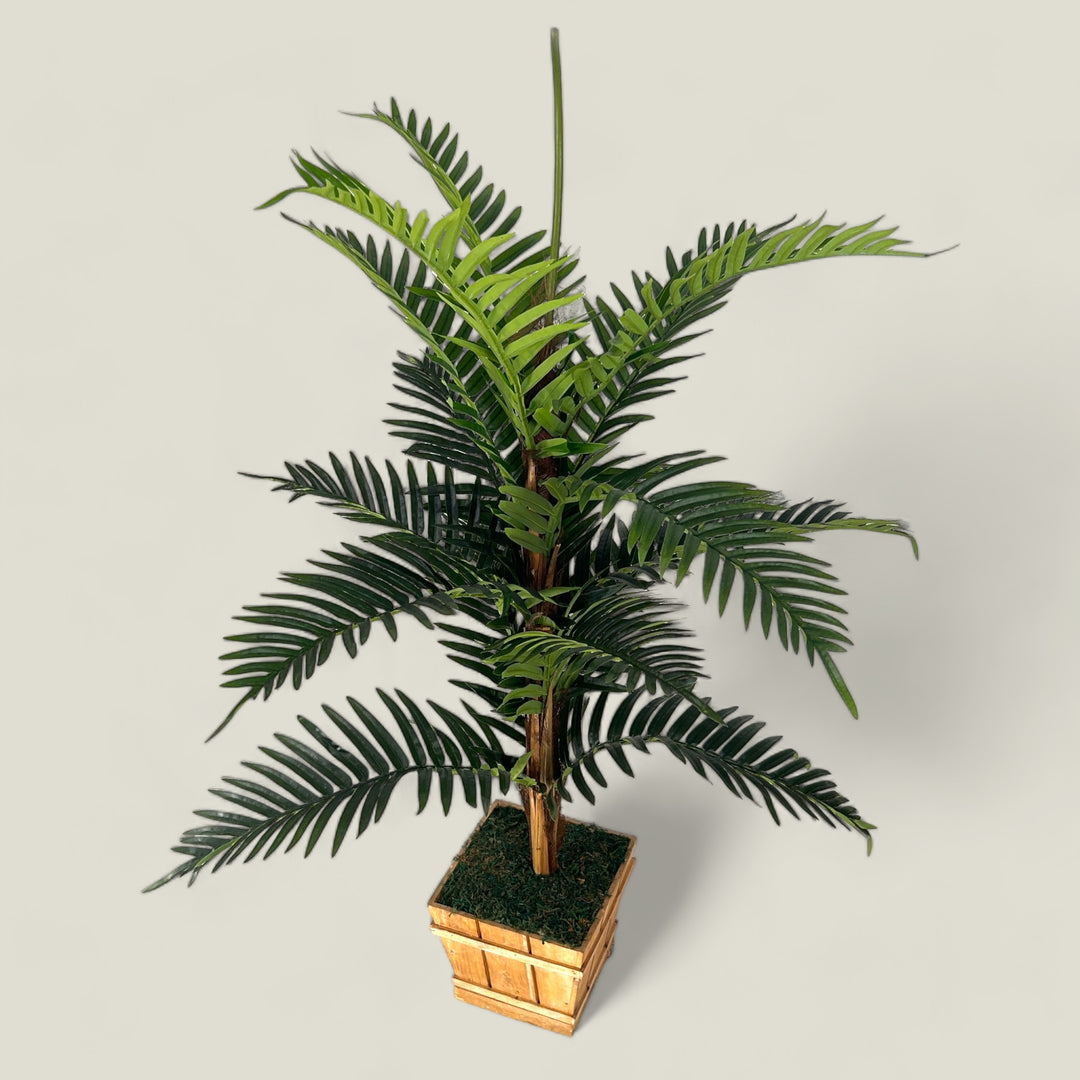 Premium Quality Areca Faux Plant Medium