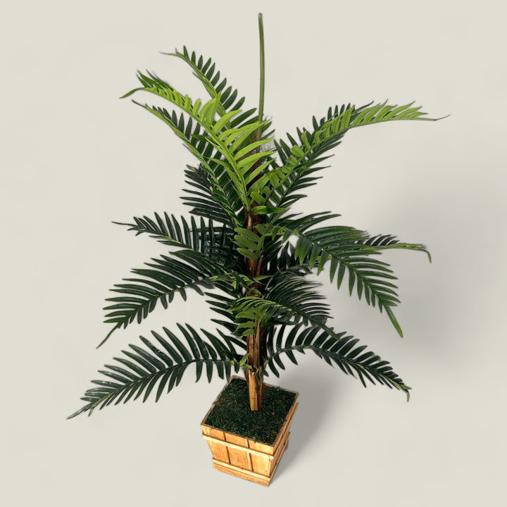 Premium Quality Areca Faux Plant Medium