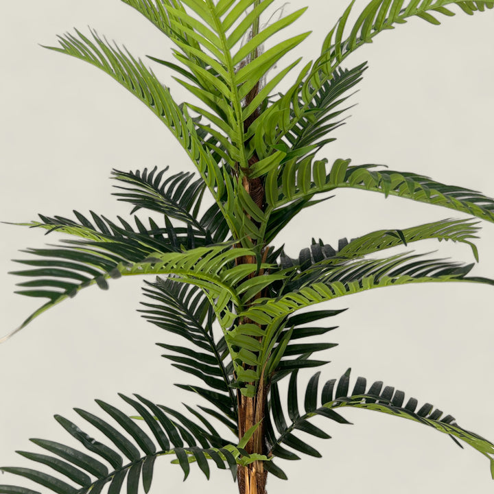 Premium Quality Areca Faux Plant Medium