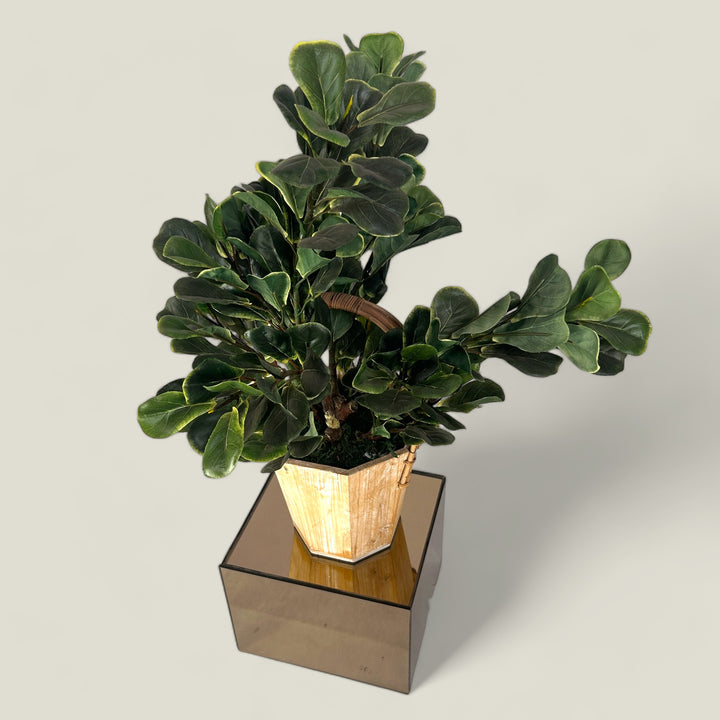 Premium quality table top artificial plants for home and office.