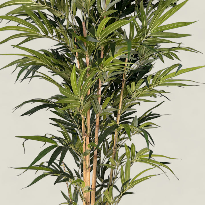 tall bamboo faux plant, corporate, decor , home and office decor.