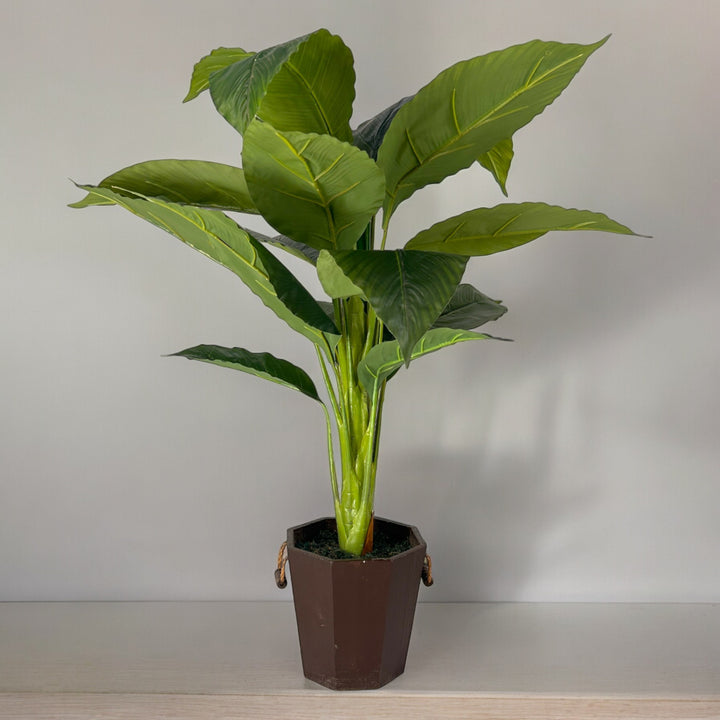 premium artificial plant for home and office.