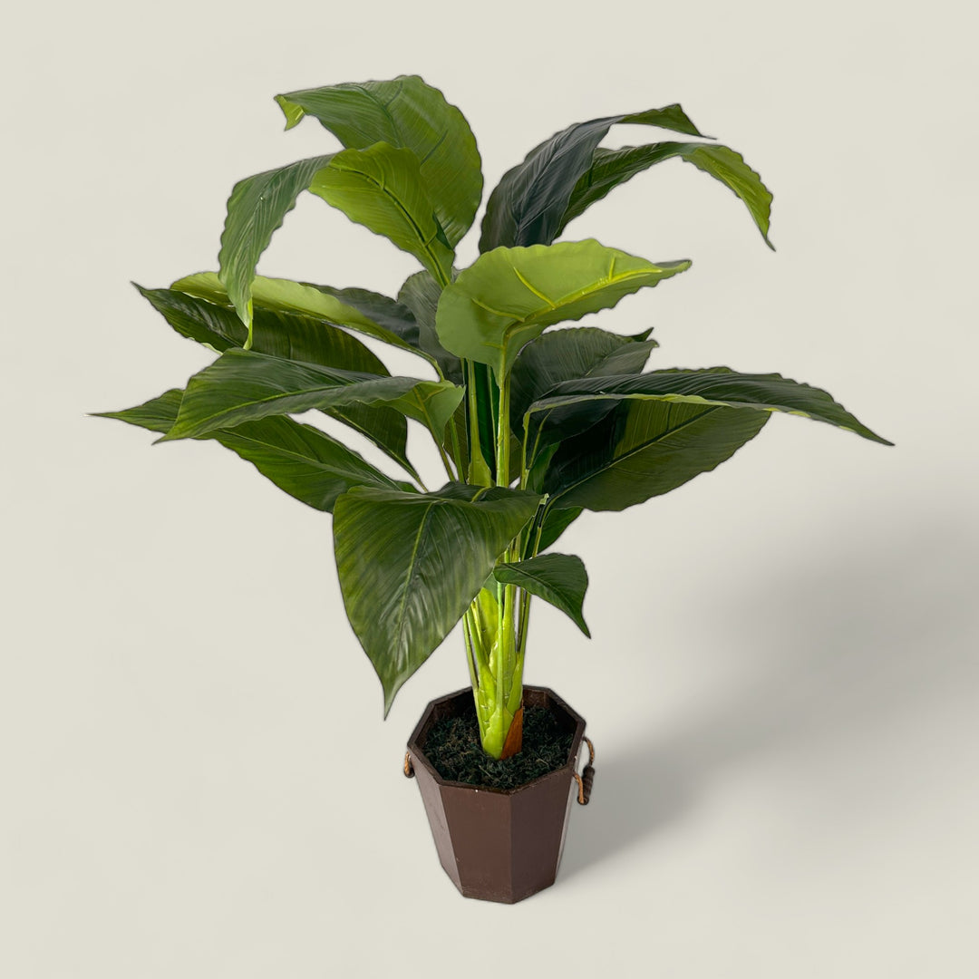 Premium Faux Plant Article-2