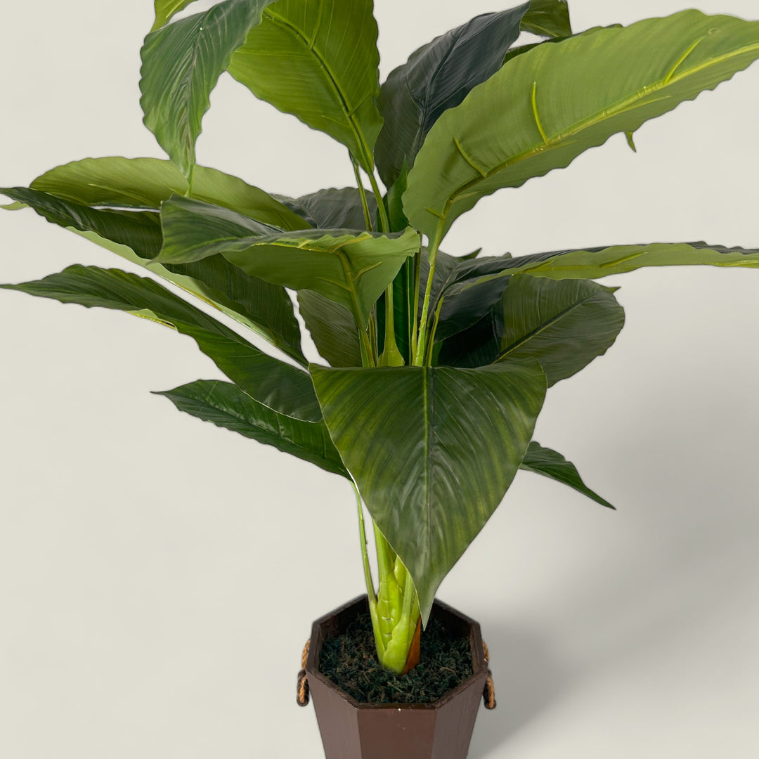 Premium Faux Plant Article-2