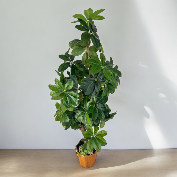 Good quality artificial plant for home and office.