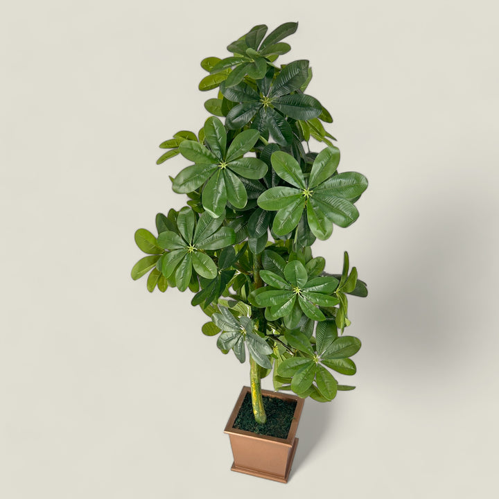 Premium Faux Blackboard Plant ( 5.4 Ft.) Tall