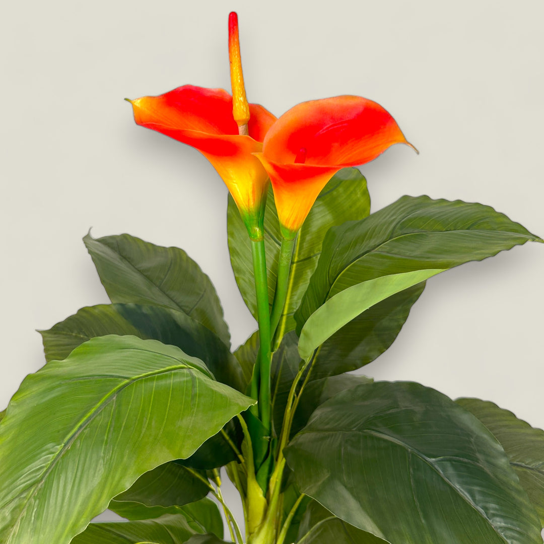 Real Touch Peace Lily Plant