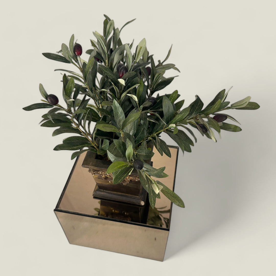 Faux Olive Plant with Grunge Pot