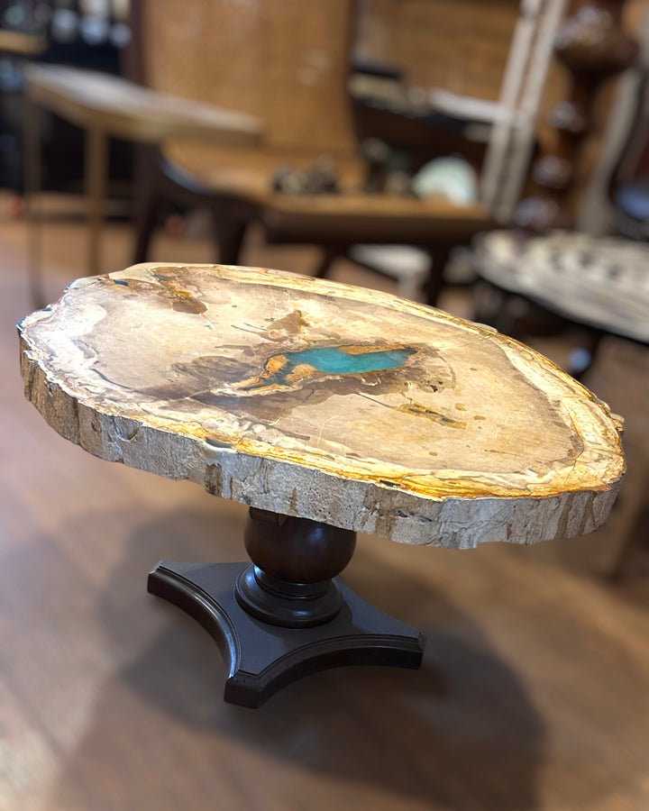 Petrified Wood Centre Table