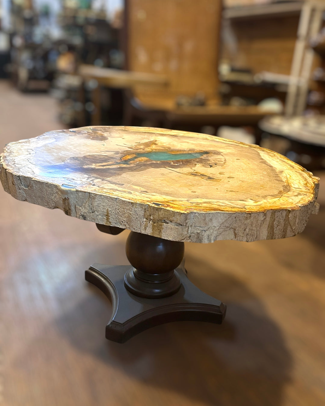 Petrified Wood Centre Table