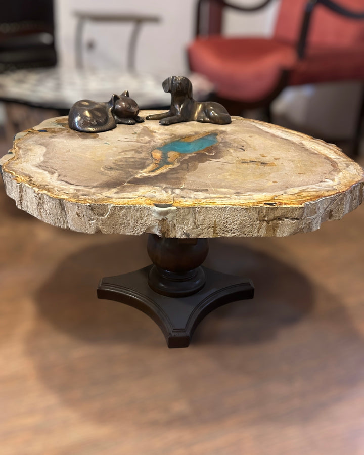 Petrified Wood Centre Table