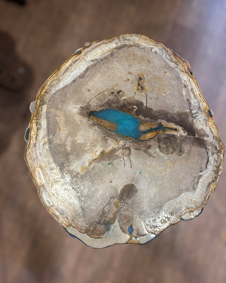 Petrified Wood Centre Table