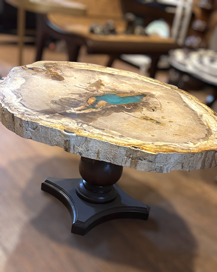 Petrified Wood Centre Table