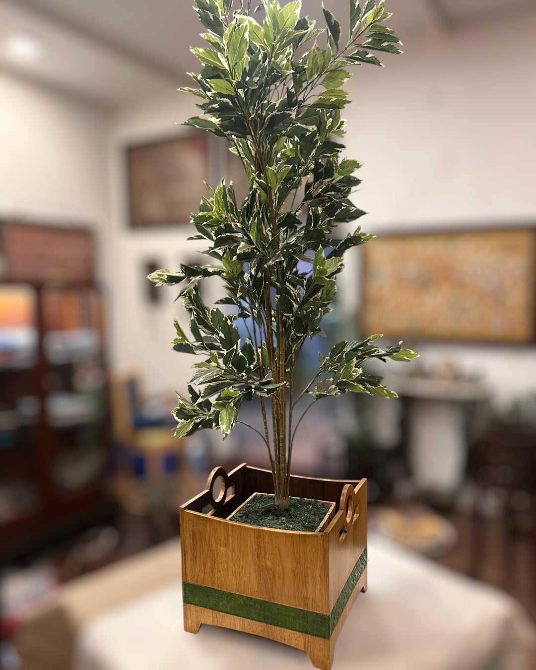 Cube Planters