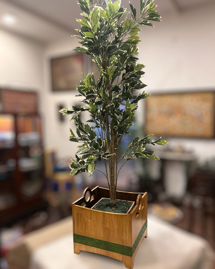 Cube Planters