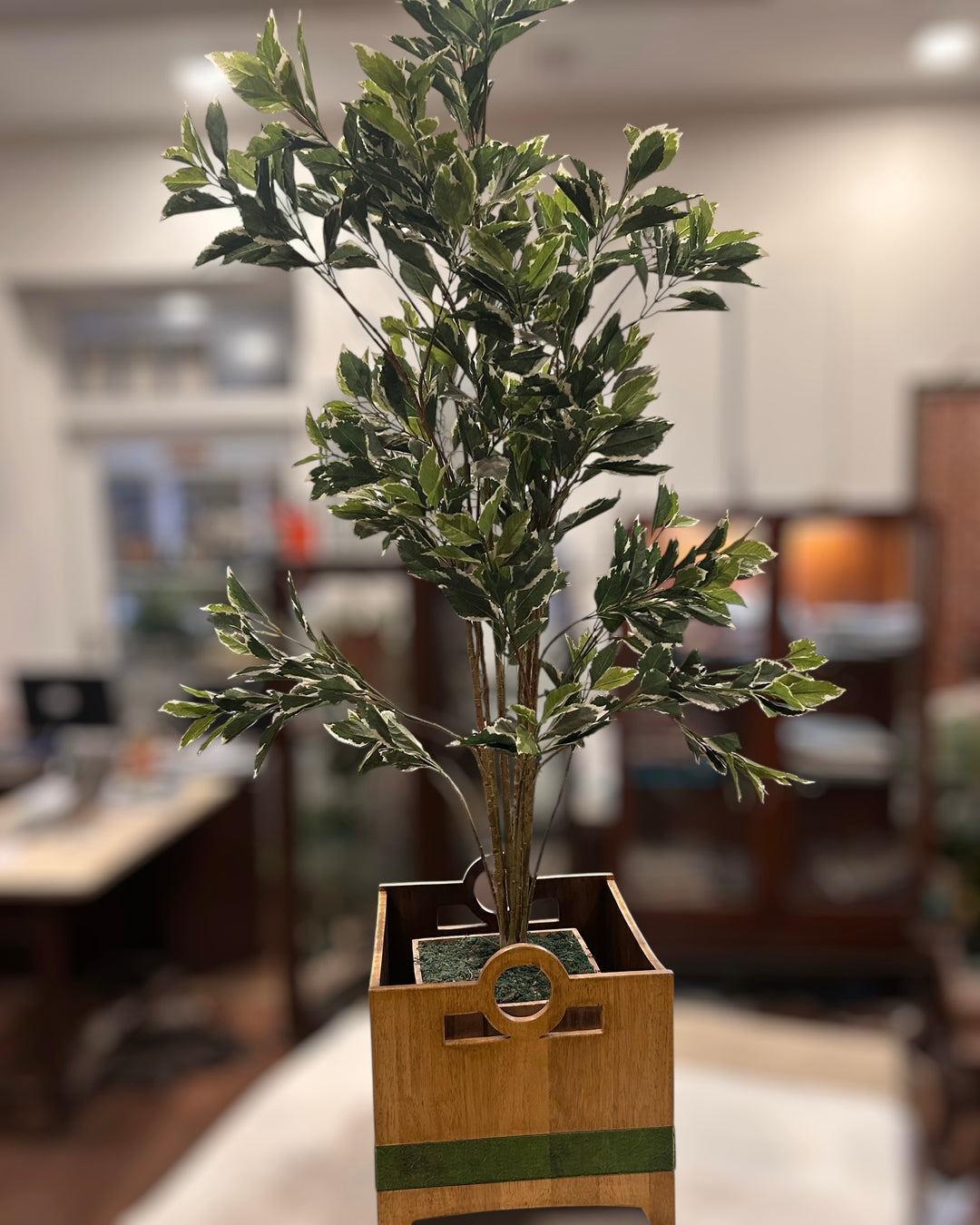 Cube Planters
