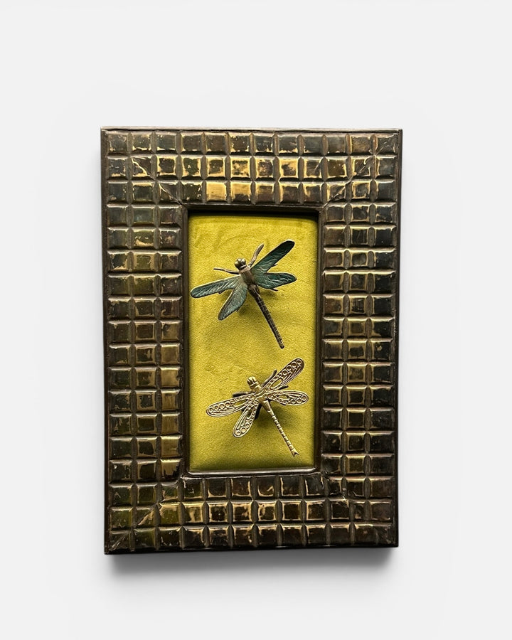 Karish Dragon Flies.