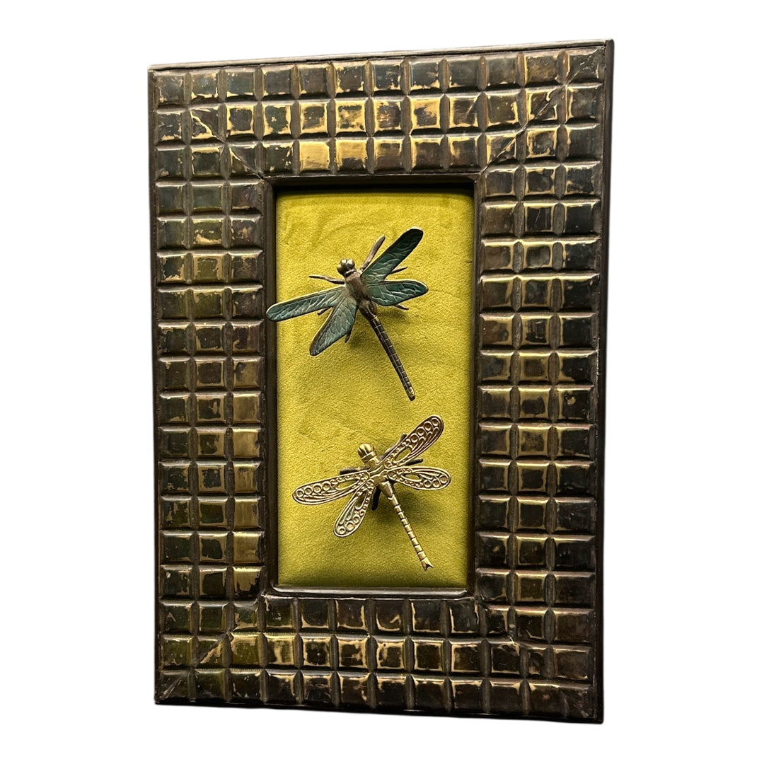 Karish Dragon Flies.