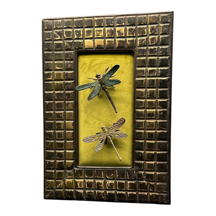 Karish Dragon Flies.