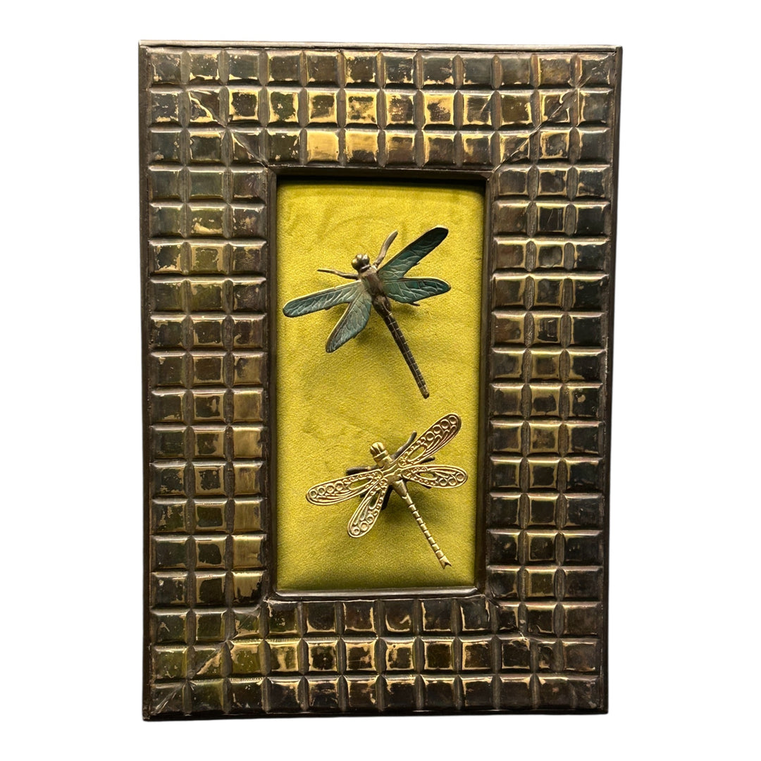 Karish Dragon Flies.
